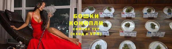 дживик Осинники