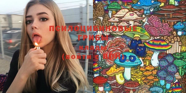 дживик Осинники