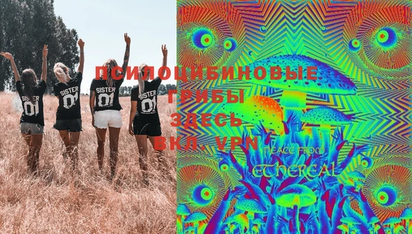 дживик Осинники