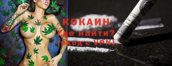 дживик Осинники