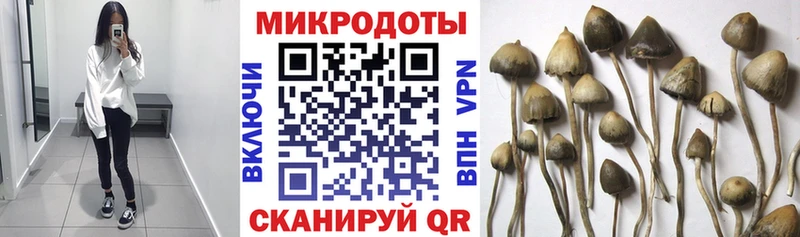 Галлюциногенные грибы прущие грибы Козельск